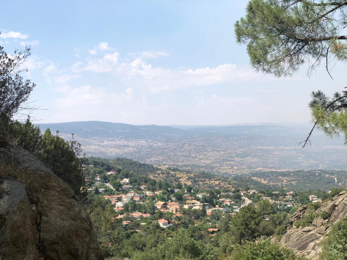 En El Corazon De La Sierra De Gredos, Pinar De La Atalaya-tiemblo *