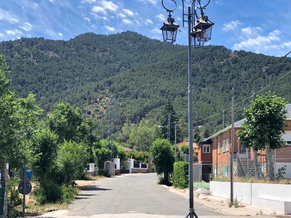 En El Corazon De La Sierra De Gredos, Pinar De La Atalaya-tiemblo * El Tiemblo
